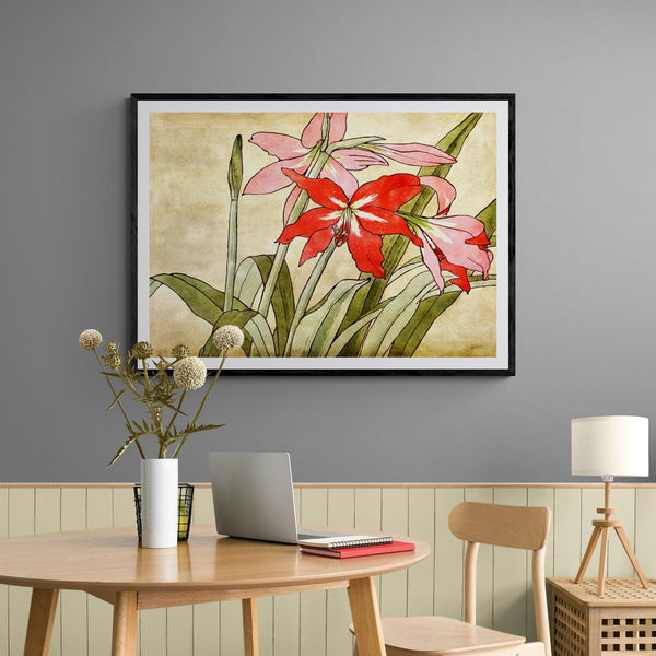 Amaryllis Flower Illustration Colourful Floral Art Poster Print - Ink North 