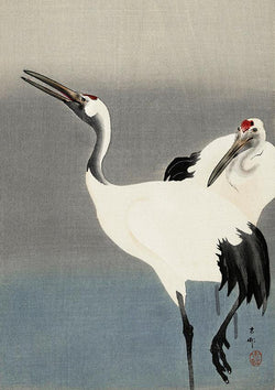 Crane Birds Antique Illustration Japanese Wall Art Print - Ink North 