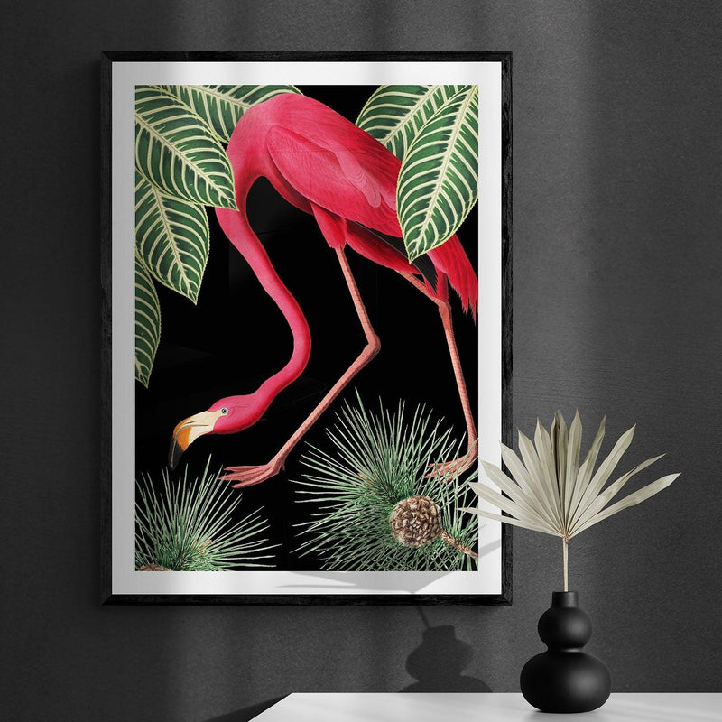 Flamingo Bird Animal Illustration Colourful Art Print - Ink North 