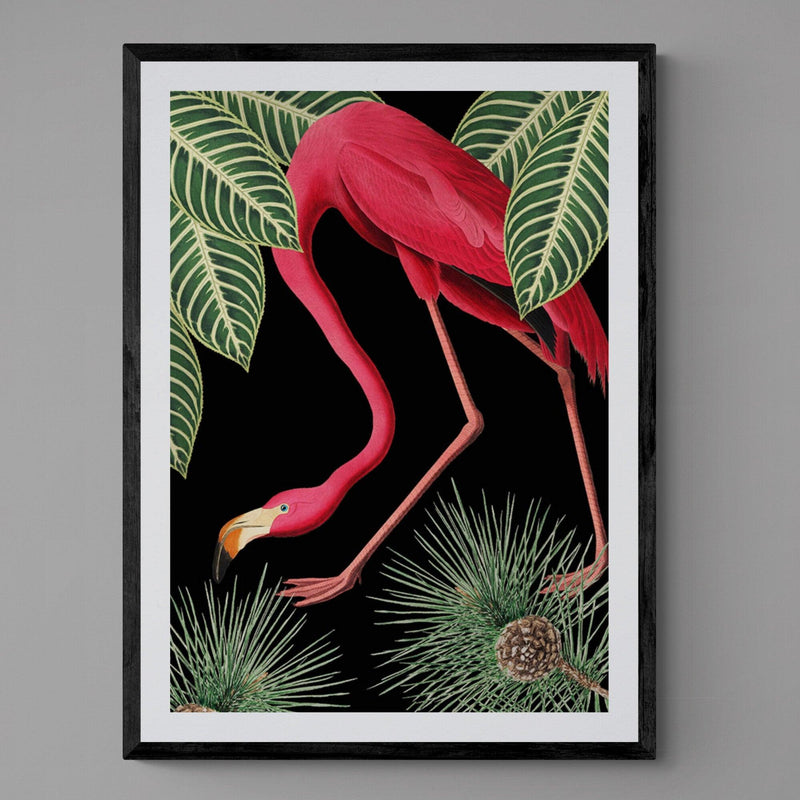 Flamingo Bird Animal Illustration Colourful Art Print - Ink North 