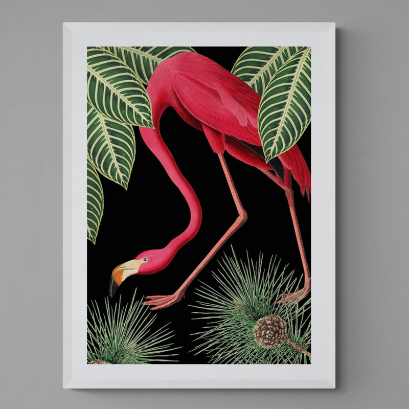 Flamingo Bird Animal Illustration Colourful Art Print - Ink North 