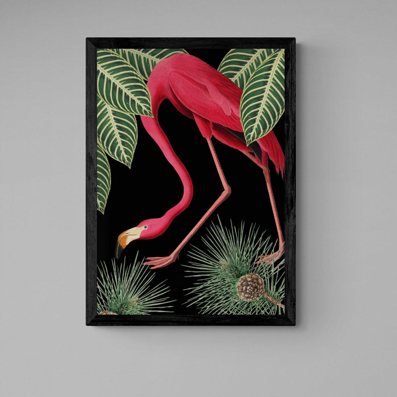 Flamingo Bird Animal Illustration Colourful Art Print - Ink North 