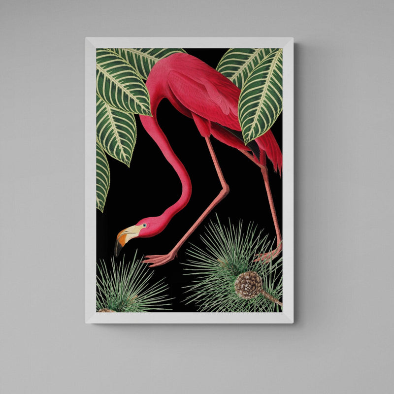 Flamingo Bird Animal Illustration Colourful Art Print - Ink North 