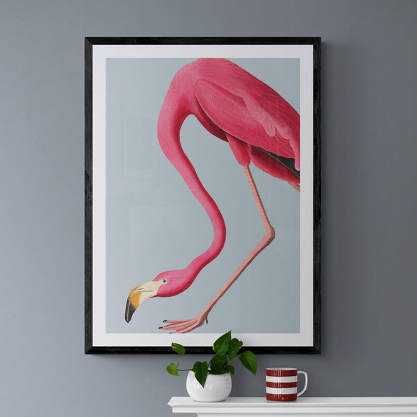 Flamingo Bird Animal Illustration Poster Art Print - Ink North 