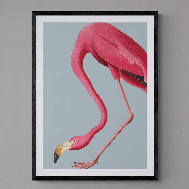 Flamingo Bird Animal Illustration Poster Art Print - Ink North 