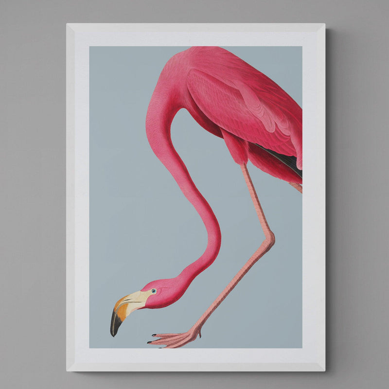 Flamingo Bird Animal Illustration Poster Art Print - Ink North 