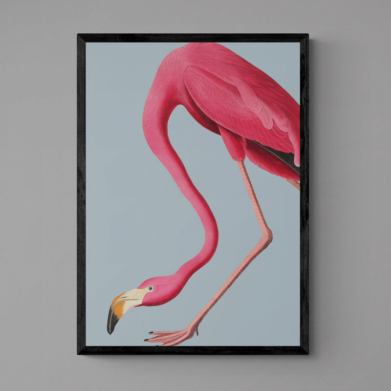 Flamingo Bird Animal Illustration Poster Art Print - Ink North 