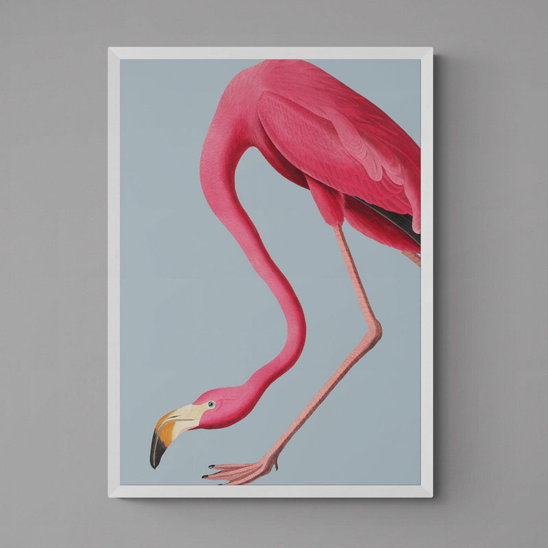 Flamingo Bird Animal Illustration Poster Art Print - Ink North 