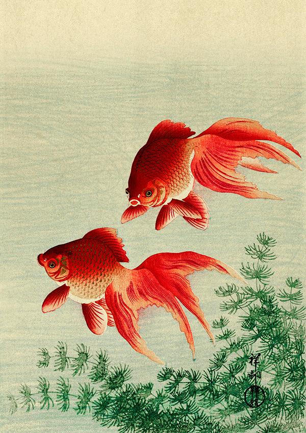 Goldfish Japanese Illustration Bathroom Wall Art Print Poster - Ink North 