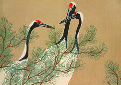 Japanese Crane Birds Illustration Wall Art Print Poster - Ink North 