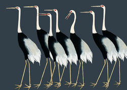 Japanese Cranes Animal Bird Illustration Poster Art Print - Ink North 