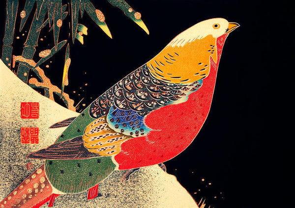 Japanese Golden Pheasant Bird Colourful Wall Art Print Poster - Ink North 