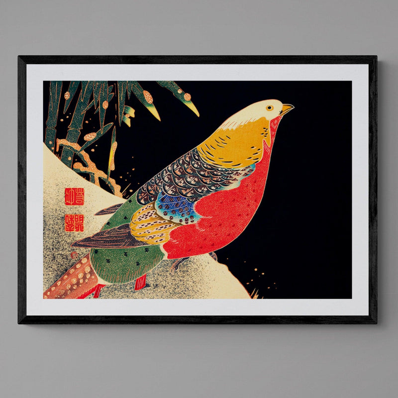 Japanese Golden Pheasant Bird Colourful Wall Art Print Poster - Ink North 