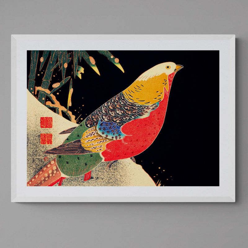 Japanese Golden Pheasant Bird Colourful Wall Art Print Poster - Ink North 