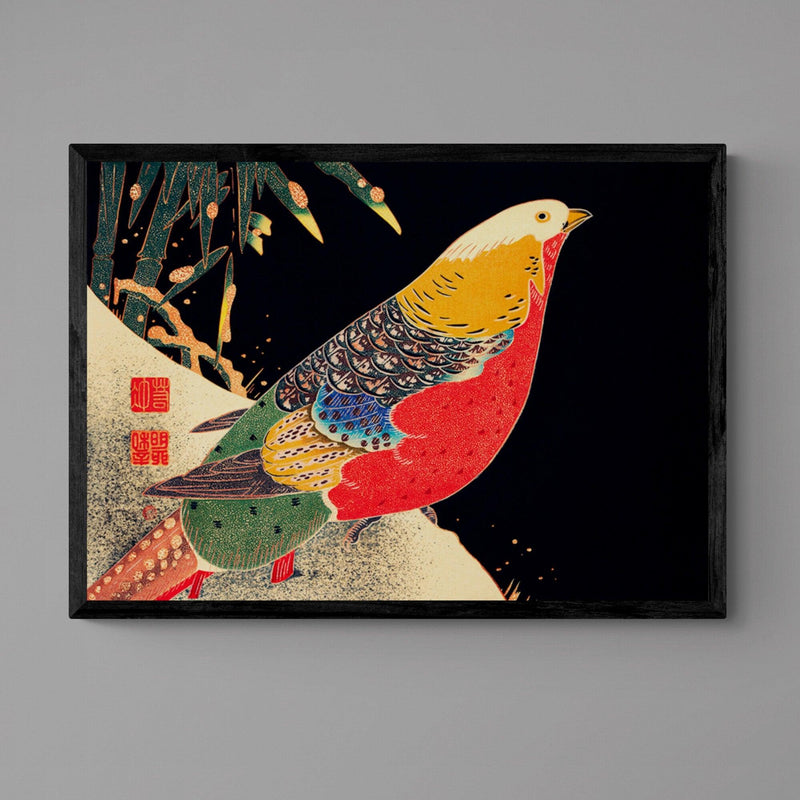 Japanese Golden Pheasant Bird Colourful Wall Art Print Poster - Ink North 