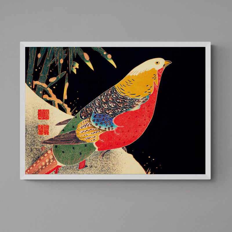 Japanese Golden Pheasant Bird Colourful Wall Art Print Poster - Ink North 