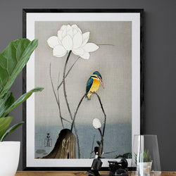 Kingfisher On Lotus Flower Illustration Japanese Wall Art Print - Ink North 