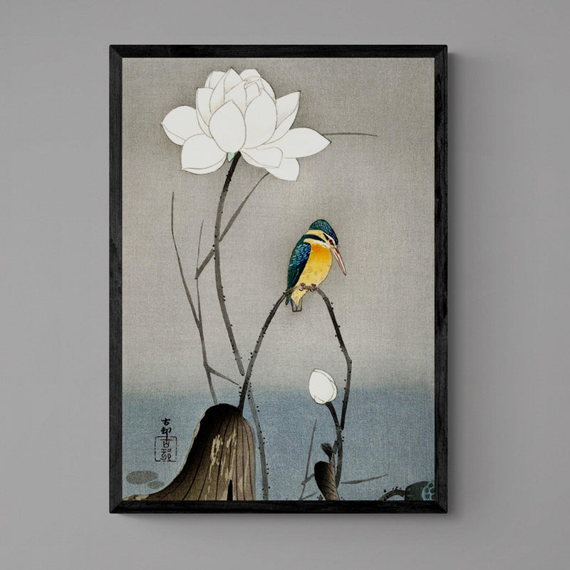 Kingfisher On Lotus Flower Illustration Japanese Wall Art Print - Ink North 