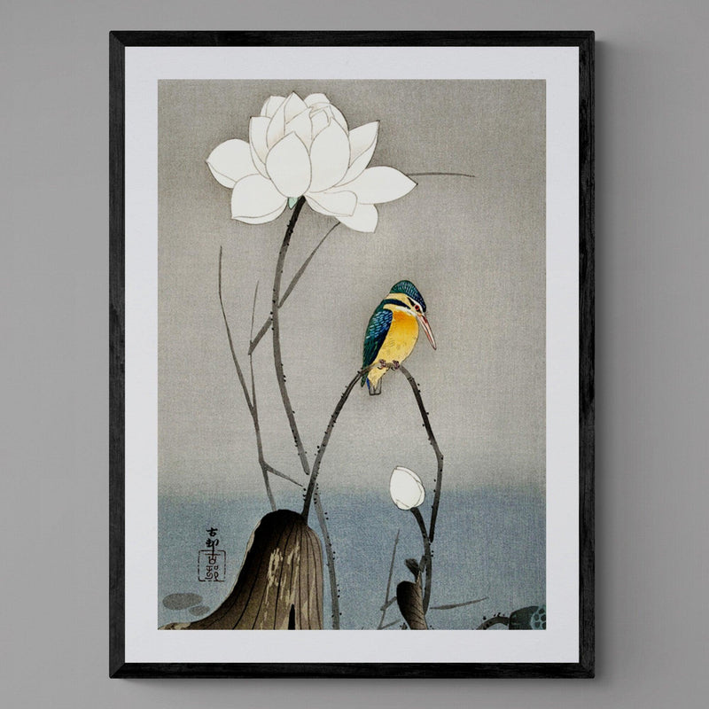 Kingfisher On Lotus Flower Illustration Japanese Wall Art Print - Ink North 