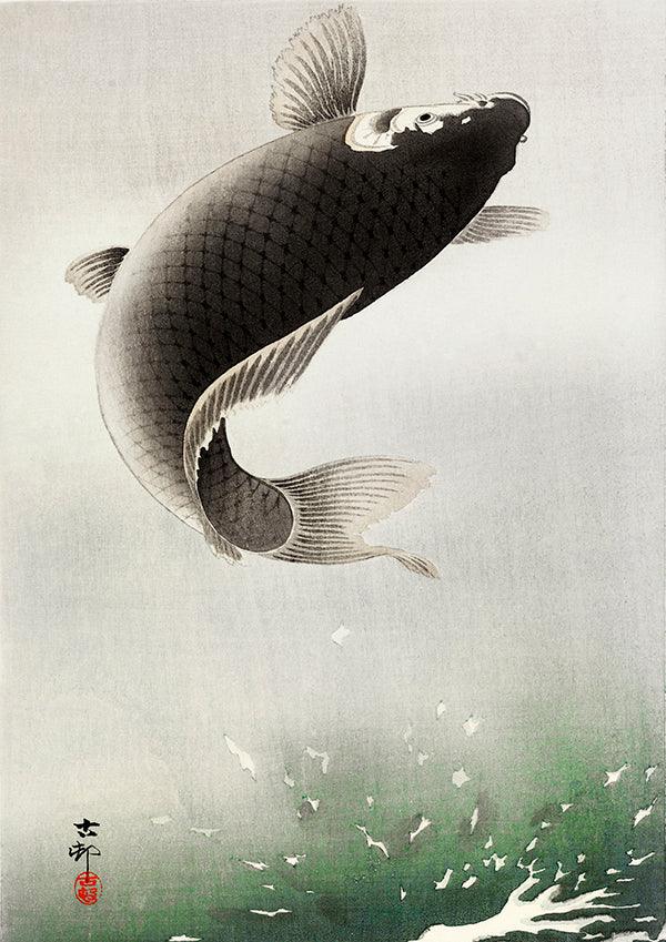 Leaping Carp Antique Illustration Japanese Wall Art Print - Ink North 