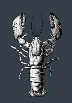 Lobster Grey Animal Kitchen Illustration Poster Art Print - Ink North 