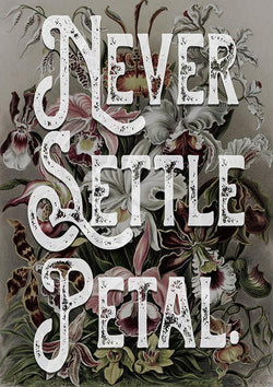 Never Settle Petal Motivational Quote Poster Wall Art Print - Ink North 