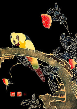 Parrot on Rose Branch Antique Illustration Japanese Wall Art Print - Ink North 