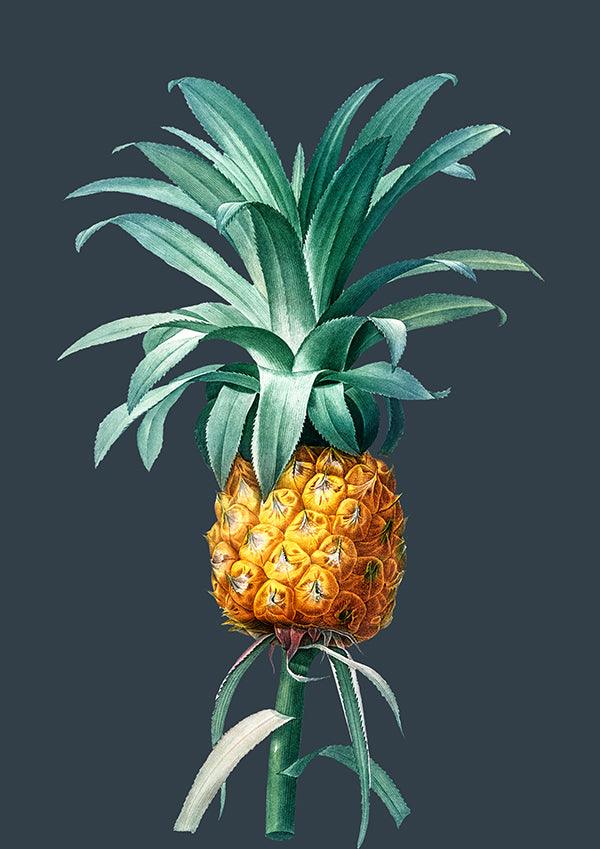 Pineapple Dark Illustration Kitchen Art Poster Print - Ink North 