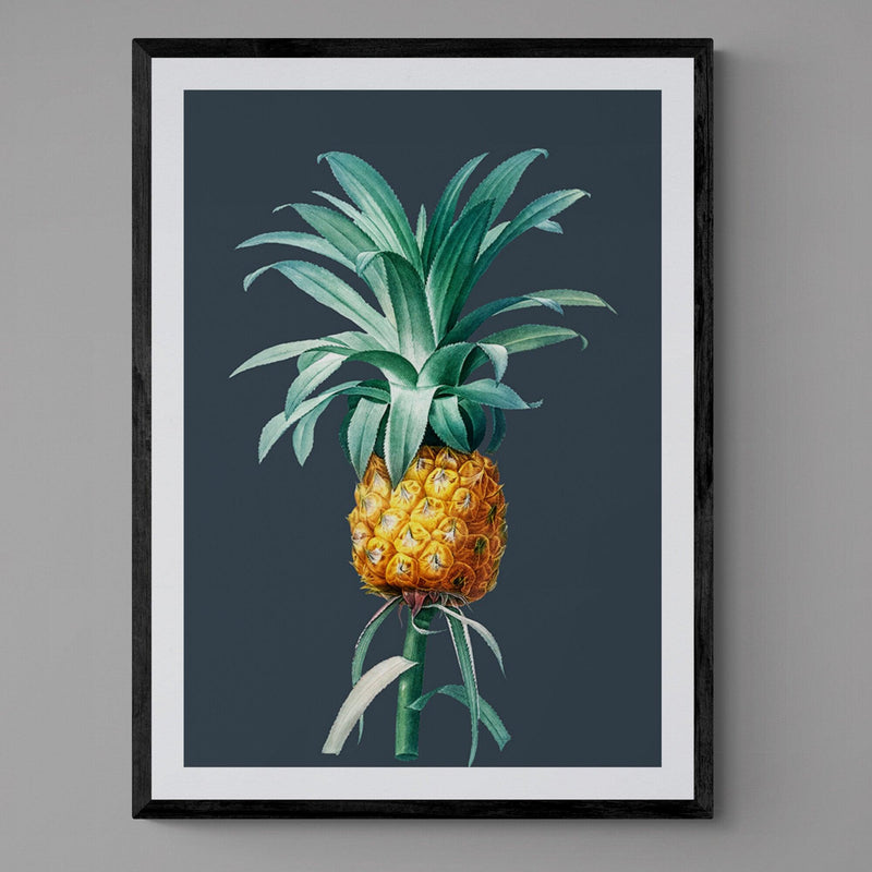 Pineapple Dark Illustration Kitchen Art Poster Print - Ink North 