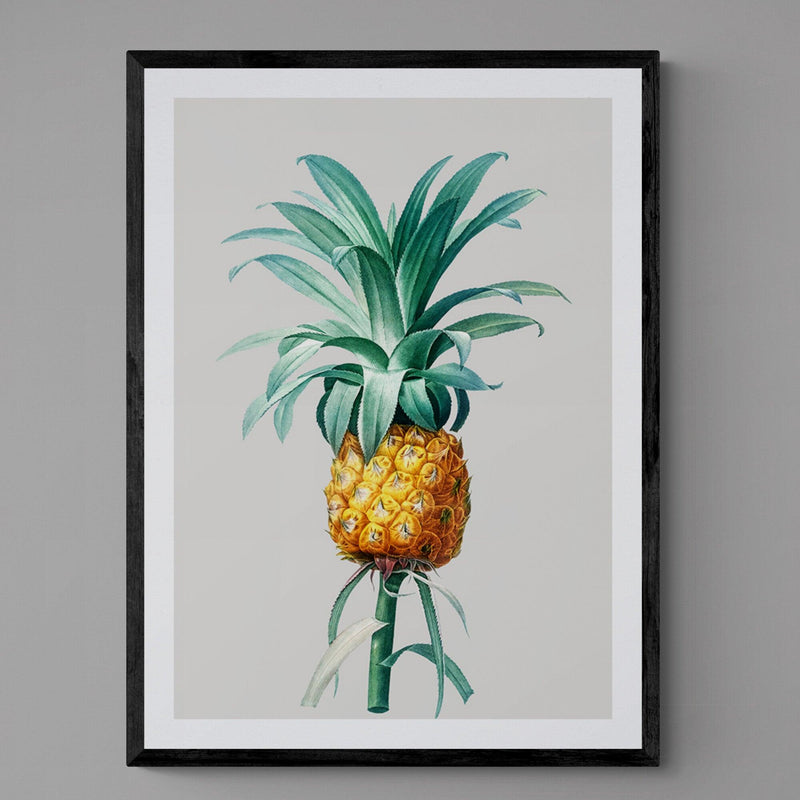 Pineapple Grey Illustration Kitchen Art Poster Print - Ink North 