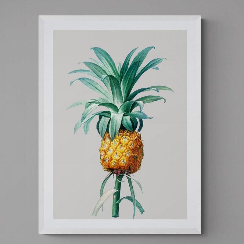 Pineapple Grey Illustration Kitchen Art Poster Print - Ink North 