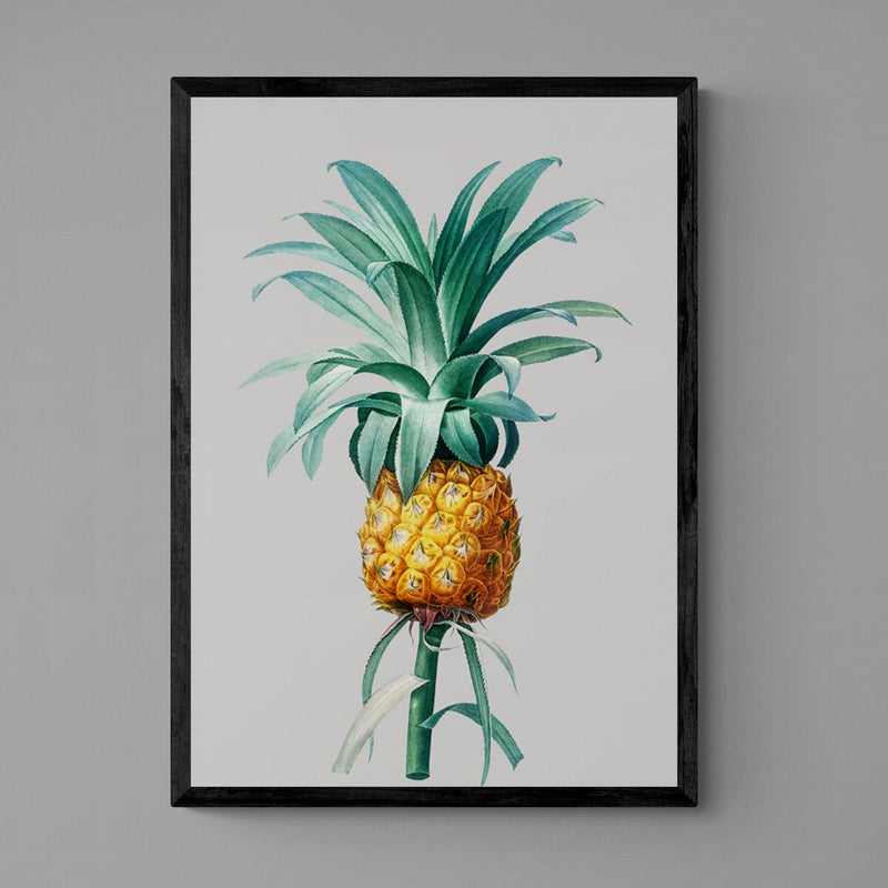 Pineapple Grey Illustration Kitchen Art Poster Print - Ink North 