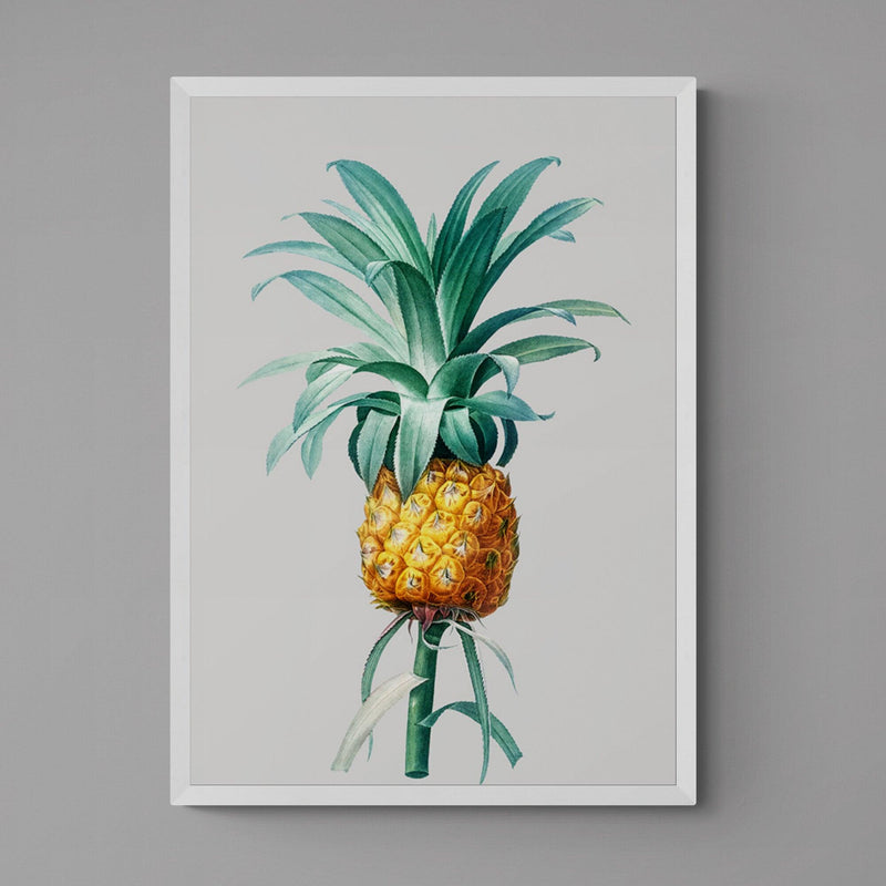 Pineapple Grey Illustration Kitchen Art Poster Print - Ink North 