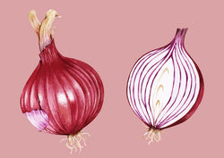 Red Onion Kitchen Colourful Art Poster Print - Ink North 