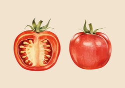 Red Tomato Kitchen Colourful Art Poster Print - Ink North 